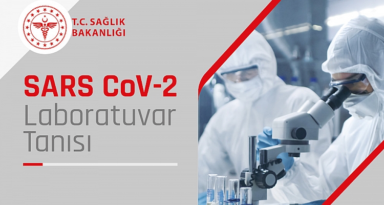 COVID-19 (Yeni Koronavirüs Hastalığı) Nedir?